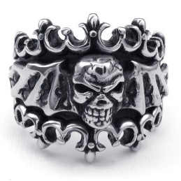 Modern Ontwerp Met Briljante Kleuren Die Warme Lof Oogsten Van Klanten. Titanium Ring