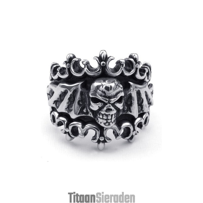 Modern Ontwerp Met Briljante Kleuren Die Warme Lof Oogsten Van Klanten. Titanium Ring Modern Ontwerp Met Briljante Kleuren Die Warme Lof Oogsten Van Klanten. Titanium Ring