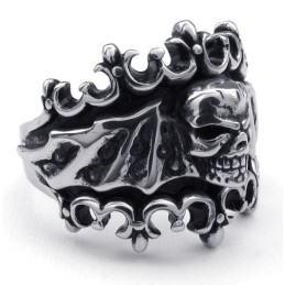 Modern Ontwerp Met Briljante Kleuren Die Warme Lof Oogsten Van Klanten. Titanium Ring