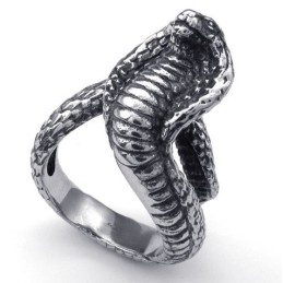 Weelderig Ontwerp, Delicate Kleuren, Betrouwbare Kwaliteit Titanium Ring