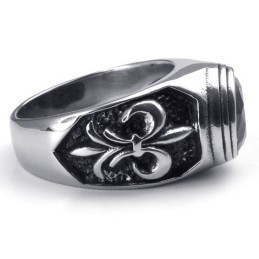 Weelderig Ontwerp, Delicate Kleuren, Winnen Warme Lof Van Klanten. Titanium Ring