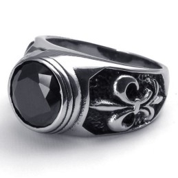 Weelderig Ontwerp, Delicate Kleuren, Winnen Warme Lof Van Klanten. Titanium Ring