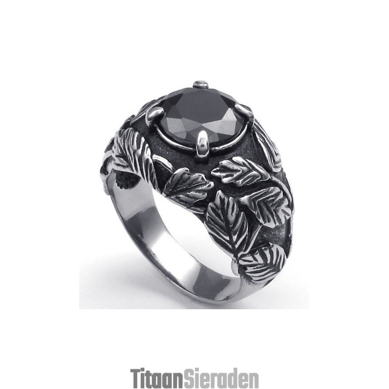 Elegante Vorm, Delicate Kleuren, Superieure Kwaliteit Titanium Ring Elegante Vorm, Delicate Kleuren, Superieure Kwaliteit Titanium Ring