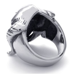 Aantrekkelijk Ontwerp, Delicate Kleuren, Betrouwbare Kwaliteit Titanium Ring