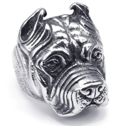 Modern Design, Delicate Kleuren, Uitstekende Kwaliteit Titanium Ring