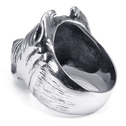 Modern Design, Delicate Kleuren, Uitstekende Kwaliteit Titanium Ring