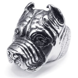 Modern Design, Delicate Kleuren, Uitstekende Kwaliteit Titanium Ring