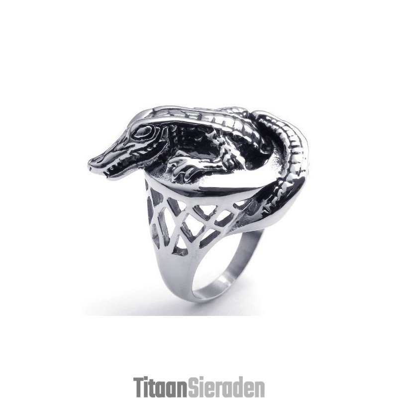 Geavanceerde Technologie Delicate Kleuren Voor Een Lang Verhaal Titanium Ring Geavanceerde Technologie Delicate Kleuren Voor Een Lang Verhaal Titanium Ring