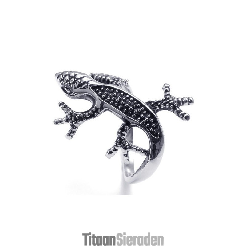 Aantrekkelijk Ontwerp, Delicate Kleuren Voor Een Lang Verhaal: Titanium Ring Aantrekkelijk Ontwerp, Delicate Kleuren Voor Een Lang Verhaal: Titanium Ring