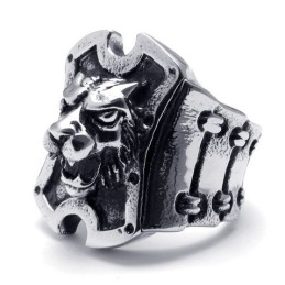 Aantrekkelijk Ontwerp, Delicate Kleuren, Duurzaam In Gebruik, Titanium Ring