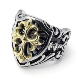 Modieuze Patronen, Kleurbriljantie, Superieure Kwaliteit Titanium Ring