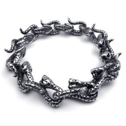 Modern Ontwerp, Kleurbriljantie, Uitstekende Kwaliteit Titanium Armband
