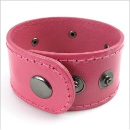 Aantrekkelijk Ontwerp, Prachtige Kleuren, Uitstekende Kwaliteit Titanium Leren Armband