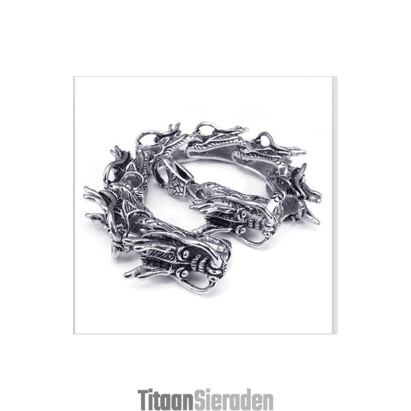 Geavanceerde Technologie Kleurbriljantie Uitstekende Kwaliteit Titanium Armband