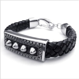 Behendig Ontwerp, Delicate Kleuren, Betrouwbare Kwaliteit Titanium Leren Armband