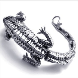 Modern Ontwerp, Kleurbriljantie, Uitstekende Kwaliteit Titanium Armband