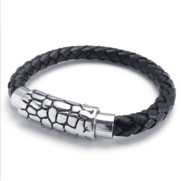 Modern Design, Delicate Kleuren, Betrouwbare Kwaliteit Titanium Leren Armband
