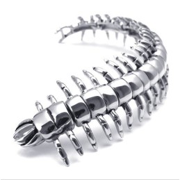 Modern Ontwerp, Kleurbriljantie, Superieure Kwaliteit Titanium Armband