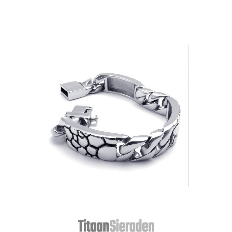 Geavanceerde Technologie, Kleurbriljantie, Superieure Kwaliteit Titanium Armband