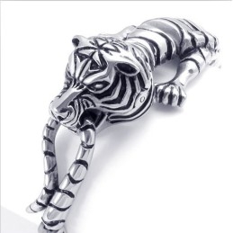 Geavanceerde Technologie, Delicate Kleuren, Uitstekende Kwaliteit Titanium Armband