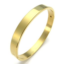 Geavanceerde Technologie Prachtige Kleuren Superieure Kwaliteit Titanium Armband