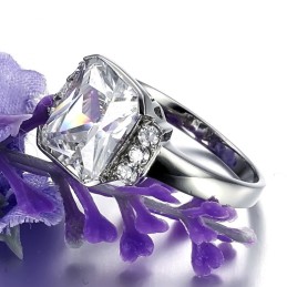 Bekend Om Zijn Hoogwaardige Dames Titanium Ring Met Strass