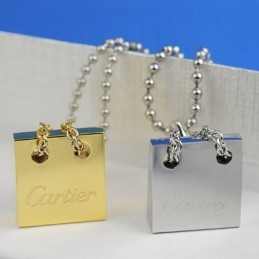 Nieuwe Stijl Titanium Hanger En Ketting (Één Paar)