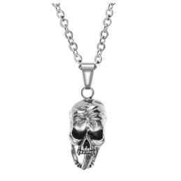 De Koning Van De Hoeveelheid Mannelijke Demon Titanium Ketting