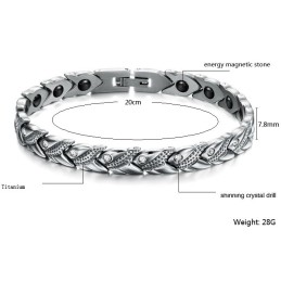 Wereldwijd Bekende Gezondheidsarmband Van Titanium