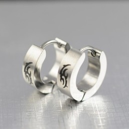 Titanium Oorbellen Voor Heren