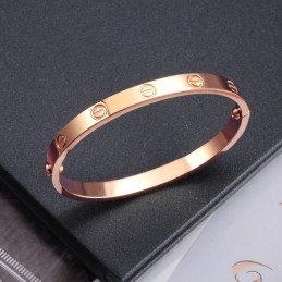 Kwaliteit En Kwantiteit Gegarandeerde Vrouwelijke Schroef Titanium Armband