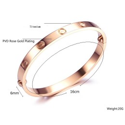Kwaliteit En Kwantiteit Gegarandeerde Vrouwelijke Schroef Titanium Armband