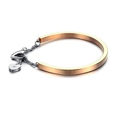 Betrouwbare Kwaliteit Vrouwelijke Slotvorm Titanium Armband