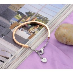 Betrouwbare Kwaliteit Vrouwelijke Slotvorm Titanium Armband