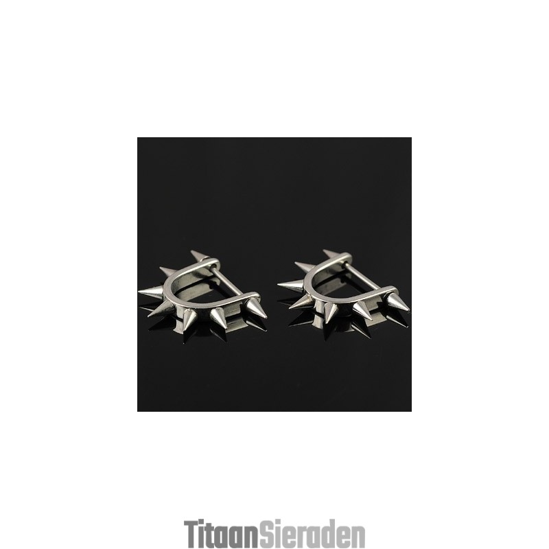 Titanium Oorbellen Voor Heren Titanium Oorbellen Voor Heren
