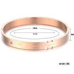 Compleet In Specificaties Titanium Bangle Voor Geliefden