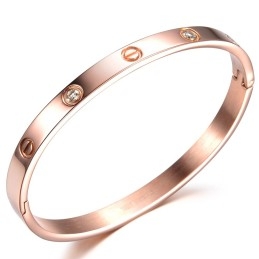 Vrouwelijke Schroeftitanium Armband Van Superieure Kwaliteit