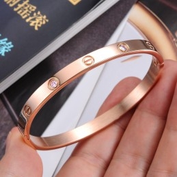 Vrouwelijke Schroeftitanium Armband Van Superieure Kwaliteit