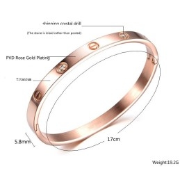 Vrouwelijke Schroeftitanium Armband Van Superieure Kwaliteit