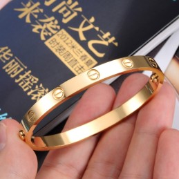 Gebruiksvriendelijke Vrouwelijke Titanium Armband