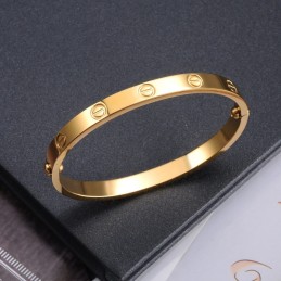 Gebruiksvriendelijke Vrouwelijke Titanium Armband