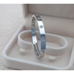 Uitstekende Kwaliteit Dames Klassieke Titanium Armband