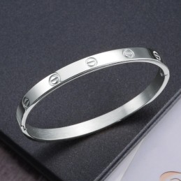 Kwaliteit En Kwantiteit Gegarandeerde Vrouwelijke Titanium Armband