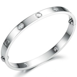 Hoogwaardige Vrouwelijke Titanium Armband