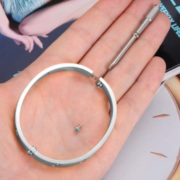 Hoogwaardige Vrouwelijke Titanium Armband