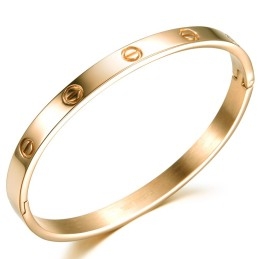 De Koningin Van Hoogwaardige Titanium Armbanden Voor Dames