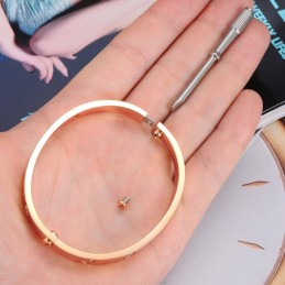 Om Een Lang Verhaal Te Hebben: Een Vrouwelijke Titanium Armband Met Strass