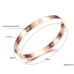 Om Een Lang Verhaal Te Hebben: Een Vrouwelijke Titanium Armband Met Strass