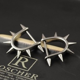 Titanium Oorbellen Voor Heren