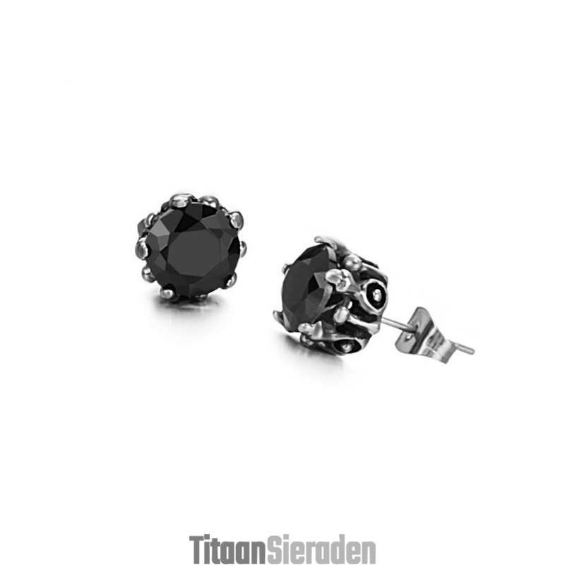 Betrouwbare Reputatie Zwarte Titanium Oorbellen Met Diamant Betrouwbare Reputatie Zwarte Titanium Oorbellen Met Diamant